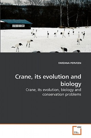 Książka Crane, its evolution and biology Farzana Perveen