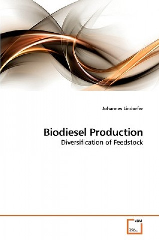 Könyv Biodiesel Production Johannes Lindorfer