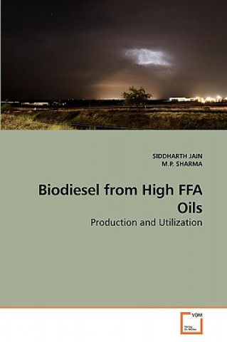 Kniha Biodiesel from High FFA Oils Siddharth Jain