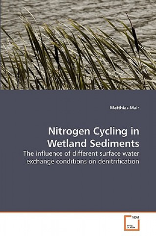 Book Nitrogen Cycling in Wetland Sediments Matthias Mair