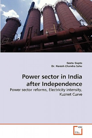 Kniha Power Sector in India After Independence Geetu Gupta