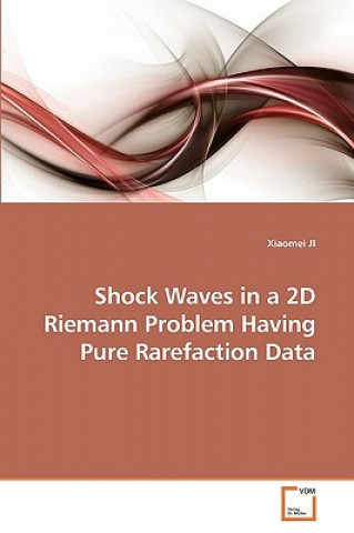 Książka Shock Waves in a 2D Riemann Problem Having Pure Rarefaction Data Xiaomei Ji