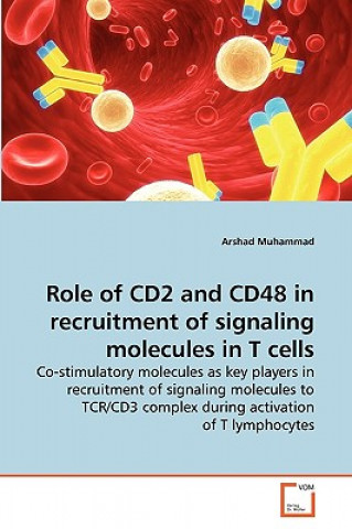 Könyv Role of CD2 and CD48 in recruitment of signaling molecules in T cells Arshad Muhammad