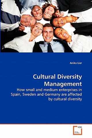 Carte Cultural Diversity Management Anika Lier