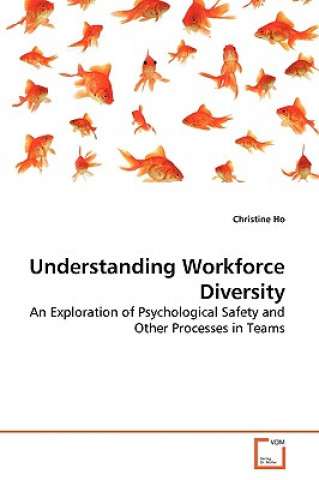 Book Understanding Workforce Diversity Christine Ho