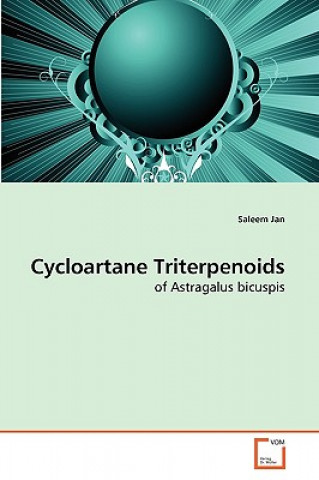 Kniha Cycloartane Triterpenoids Saleem Jan