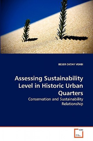 Buch Assessing Sustainability Level in Historic Urban Quarters Beser Oktay Vehbi