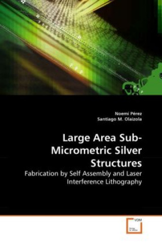 Книга Large Area Sub-Micrometric Silver Structures Noemí Pérez