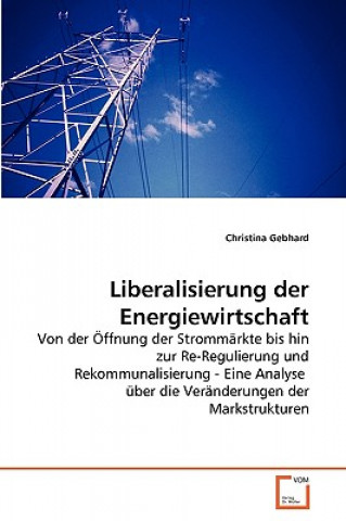 Carte Liberalisierung der Energiewirtschaft Christina Gebhard