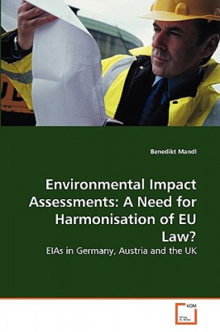 Könyv Environmental Impact Assessments Mandl Benedikt