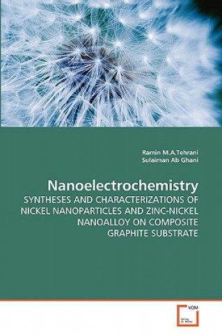 Książka Nanoelectrochemistry Ramin M. A. Tehrani