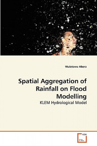 Könyv Spatial Aggregation of Rainfall on Flood Modelling Wuletawu Abera