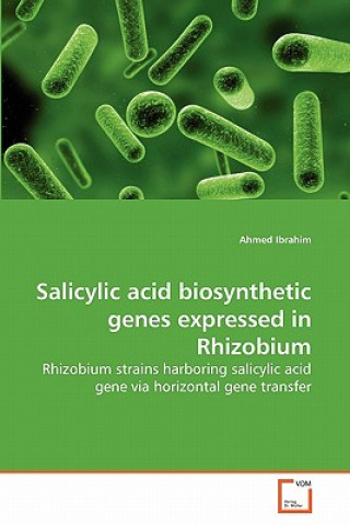 Carte Salicylic acid biosynthetic genes expressed in Rhizobium Ahmed Ibrahim