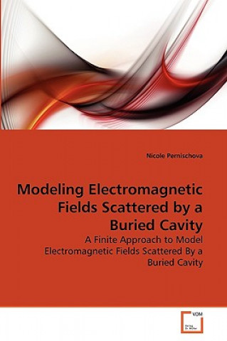 Kniha Modeling Electromagnetic Fields Scattered by a Buried Cavity Nicole Pernischova