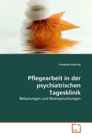 Kniha Pflegearbeit in der psychiatrischen Tagesklinik Franziska Rakoczy