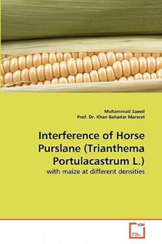 Книга Interference of Horse Purslane (Trianthema Portulacastrum L.) Muhammad Saeed