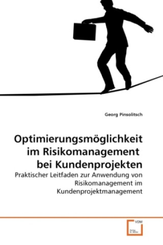 Buch Optimierungsmöglichkeit im Risikomanagement bei Kundenprojekten Georg Pinsolitsch