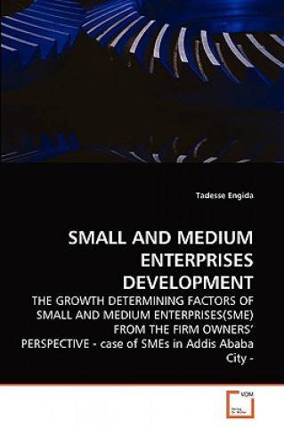Carte Small and Medium Enterprises Development Tadesse Engida