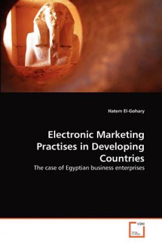 Kniha Electronic Marketing Practises in Developing Countries Hatem El- Gohary
