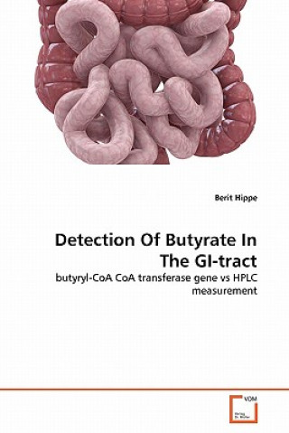 Kniha Detection Of Butyrate In The GI-tract Berit Hippe