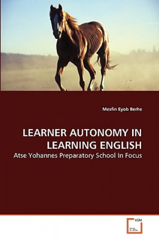 Kniha Learner Autonomy in Learning English Mesfin Eyob Berhe