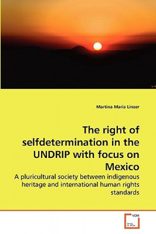 Carte right of selfdetermination in the UNDRIP with focus on Mexico Martina Maria Linzer