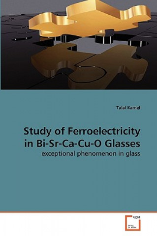 Книга Study of Ferroelectricity in Bi-Sr-Ca-Cu-O Glasses Talal Kamel