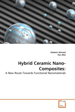 Kniha Hybrid Ceramic Nano-Composites: Kaleem Ahmad