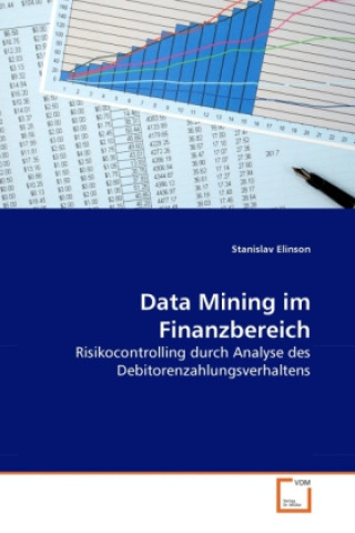 Könyv Data Mining im Finanzbereich Stanislav Elinson