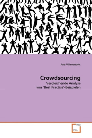 Książka Crowdsourcing Ana Vilimonovic