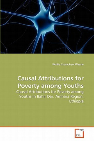 Książka Causal Attributions for Poverty among Youths Wollie Chalachew Wassie