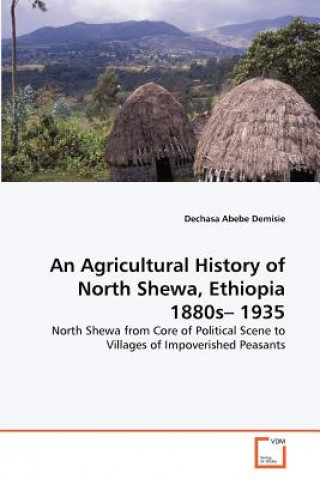 Книга Agricultural History of North Shewa, Ethiopia 1880s- 1935 Dechasa Abebe Demisie