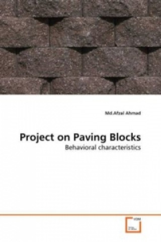Książka Project on Paving Blocks Md.Afzal Ahmad