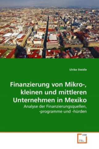 Kniha Finanzierung von Mikro-, kleinen und mittleren Unternehmen in Mexiko Ulrike Steidle