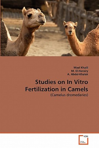 Könyv Studies on In Vitro Fertilization in Camels Wael Khalil