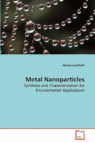 Carte Metal Nanoparticles Muhammad Raffi