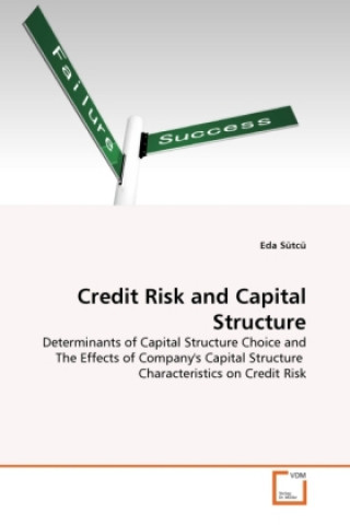 Kniha Credit Risk and Capital Structure Eda Sütcü