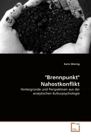 Book "Brennpunkt" Nahostkonflikt Karin Wernig