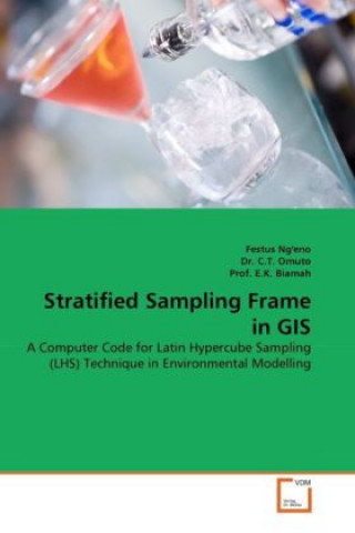 Książka Stratified Sampling Frame in GIS Festus Ng'eno