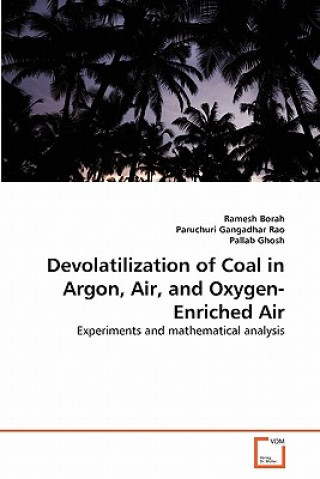 Book Devolatilization of Coal in Argon, Air, and Oxygen-Enriched Air Ramesh Borah