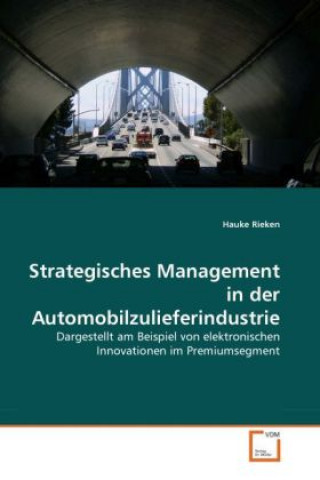 Kniha Strategisches Management in der Automobilzulieferindustrie Hauke Rieken