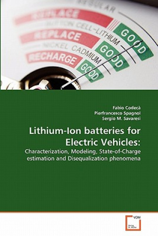 Kniha Lithium-Ion batteries for Electric Vehicles Pierfrancesco Spagnol