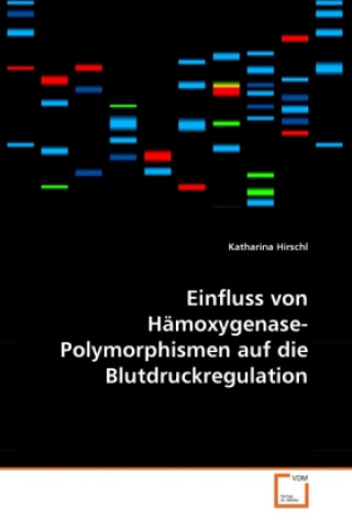 Kniha Einfluss von Hämoxygenase-Polymorphismen auf die Blutdruckregulation Katharina Hirschl