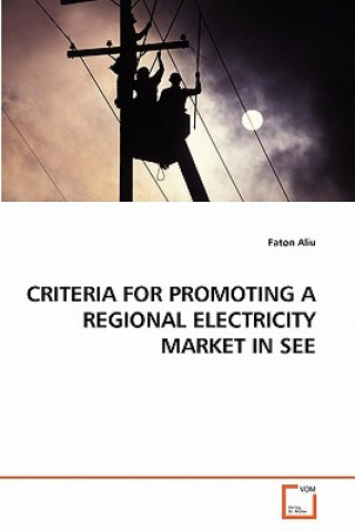Книга Criteria for Promoting a Regional Electricity Market in See Faton Aliu