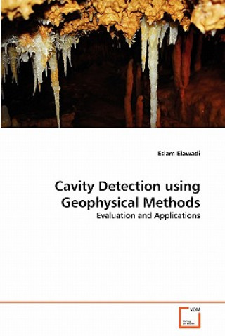 Carte Cavity Detection using Geophysical Methods Eslam Elawadi