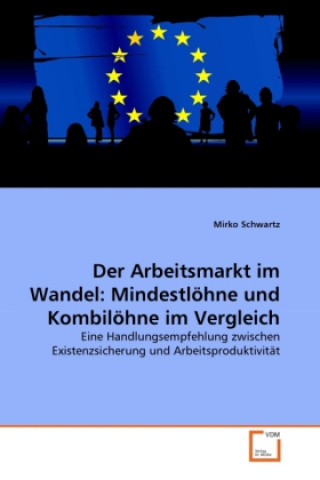 Kniha Der Arbeitsmarkt im Wandel: Mindestlöhne und Kombilöhne im Vergleich Mirko Schwartz
