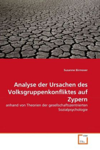 Könyv Analyse der Ursachen des Volksgruppenkonfliktes auf Zypern Susanne Birmoser