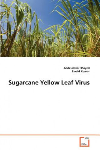 Kniha Sugarcane Yellow Leaf Virus Abdelaleim ElSayed