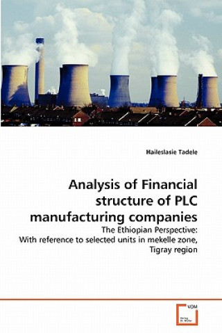 Könyv Analysis of Financial structure of PLC manufacturing companies Haileslasie Tadele