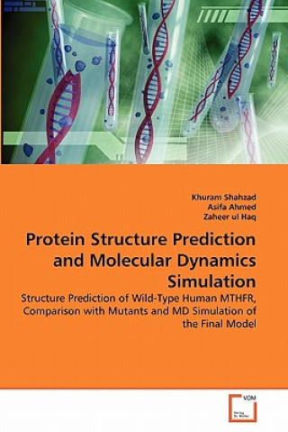 Könyv Protein Structure Prediction and Molecular Dynamics Simulation Khuram Shahzad